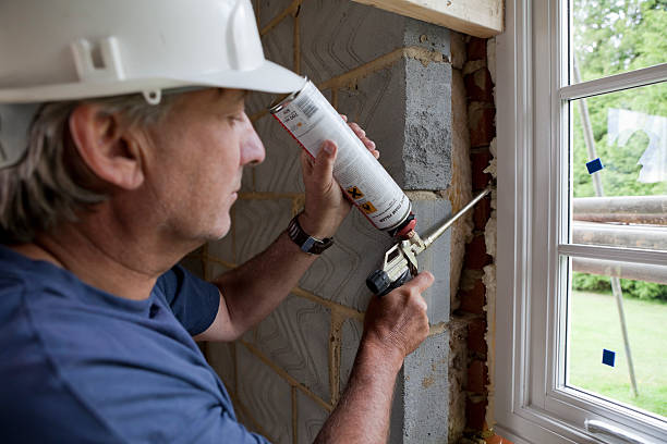 Best Blown-in Insulation  in Ecorse, MI
